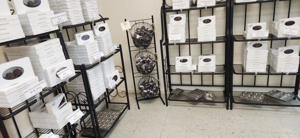 Thompson Chocolate by null