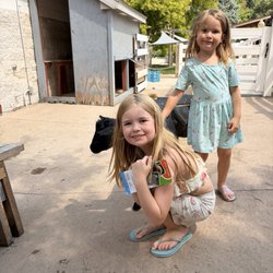 Petting zoo area