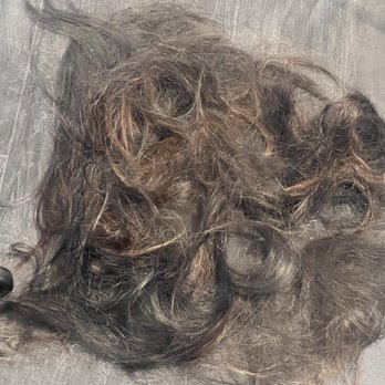 Heal Hair Studio - My hair  from long to pixie. - Hair Salons Near Me - Emeryville, California