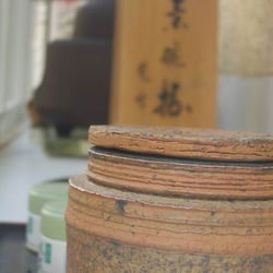 ars japonica - Alles Staub, wenn man genau hinschaut. Ach....
