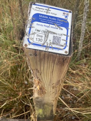 Alligator River National Wildlife Refuge by null