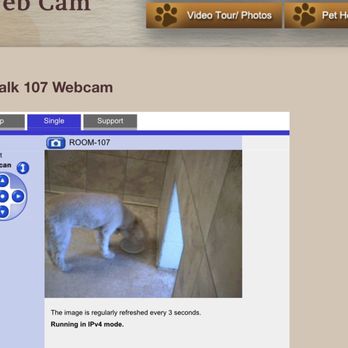 Paws By The Lake - Drinking water beside her exit to her patio:) - Pet Training Near Me - Avon Lake, Ohio Paws By The Lake - Drinking water beside her exit to her patio:) - Pet Training Near Me - Avon Lake, Ohio