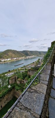Rheinfels Castle by null
