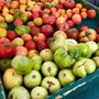 Photo of El Cerrito Plaza Farmers' Market