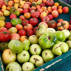 El Cerrito Plaza Farmers' Market - Heirloom tomatoes