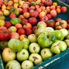 El Cerrito Plaza Farmers' Market gift card