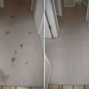Sure Dry - Carpet Cleaning Near Me Sure Dry - Carpet Cleaning Near Me