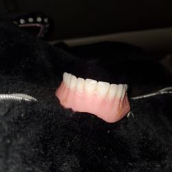 Smile Max 365