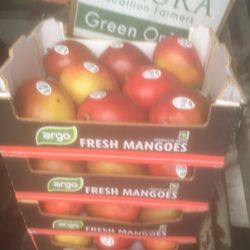 SR MANGO HOUSE