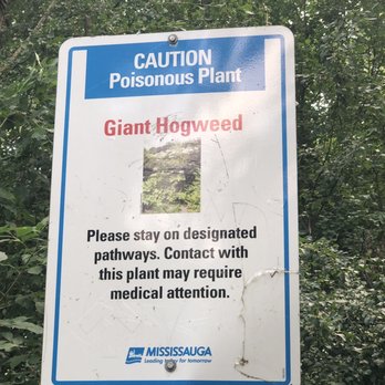 Erindale Park - Warning for some plants - Parks Near Me - Mississauga, Ontario Erindale Park - Warning for some plants - Parks Near Me - Mississauga, Ontario