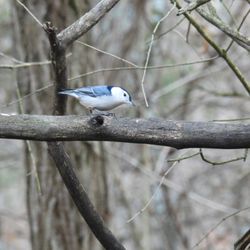 Germantown Metropark Nature Center