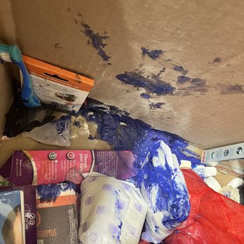 Colonial Van Lines - The packers packed shampoo which they were not suppose to pack and put it upside down. I paid over $2000 for this service - Movers Near Me - Pompano Beach, Florida