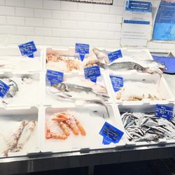 La Pesceria Re di Roma - Seafood choice