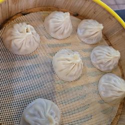 Tasty China - Pork XLB.