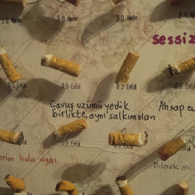 The Museum of Innocence by null