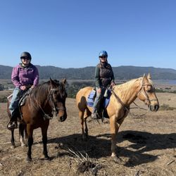 Point Reyes Arabian Adventures - Fun with family!