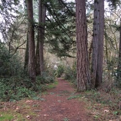 Swiftshore Park