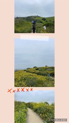 Baldwin Hills Scenic Overlook by null