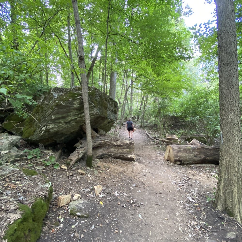Pearl’s Fen - My finger!? and a downed tree they cut to open the pathway! - Parks Near Me - Fairborn, Ohio Pearl’s Fen - My finger!? and a downed tree they cut to open the pathway! - Parks Near Me - Fairborn, Ohio