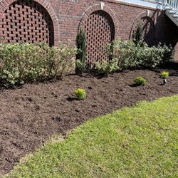 Cane Bay Landscaping