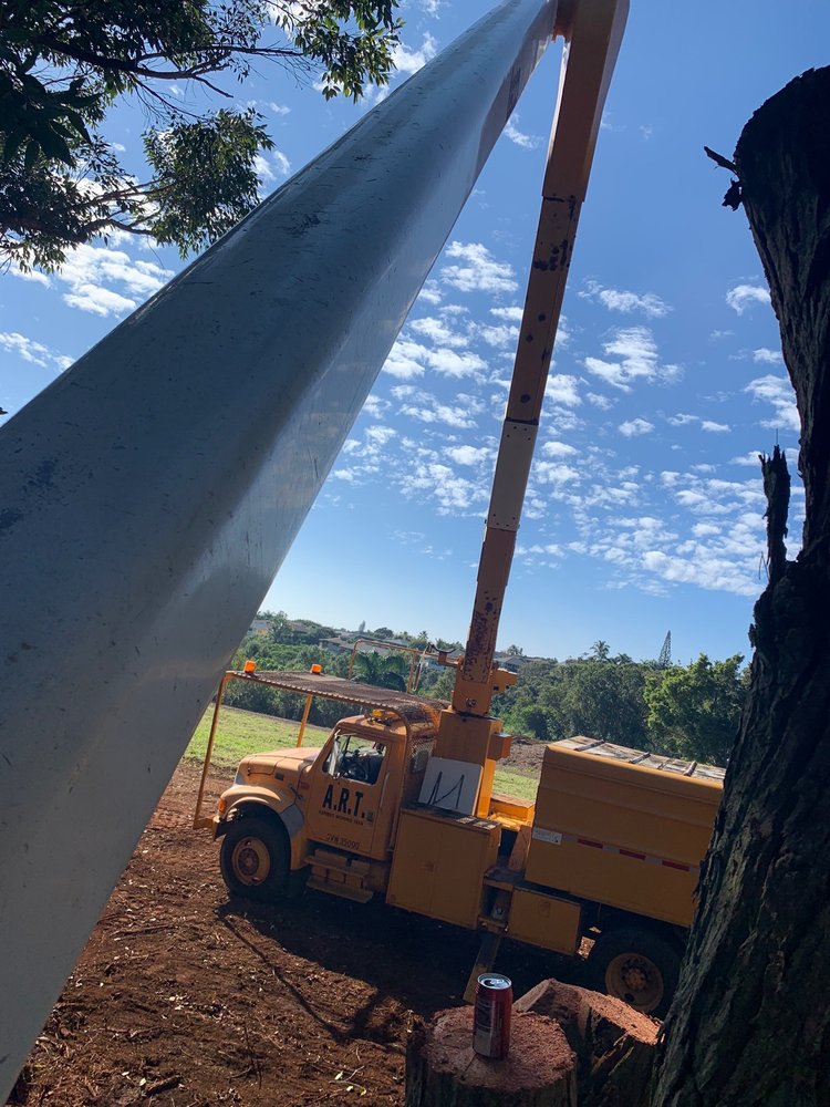 ARBORIST RESPONSE TEAM Updated October 2024 12 Photos 5061