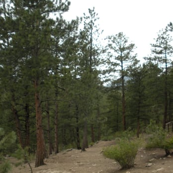 Elk Meadow Park - Dog Parks Near Me - Evergreen, Colorado