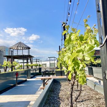 Rooftop Reds - Wineries Near Me - Brooklyn, New York