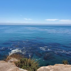 Avila Sea Caves - Monday, July 24th, 2023 - View from Cave