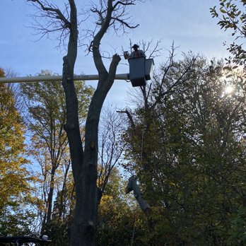 CAM Tree Services - Tree Services Near Me - Middletown, Rhode Island CAM Tree Services - Tree Services Near Me - Middletown, Rhode Island