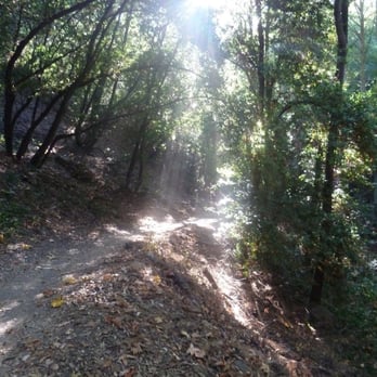 Pasadena Hiking Pacers - Hiking Near Me Pasadena Hiking Pacers - Hiking Near Me