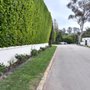 Chavez Landscaping
