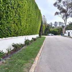 Chavez Landscaping - Hedge maintenance