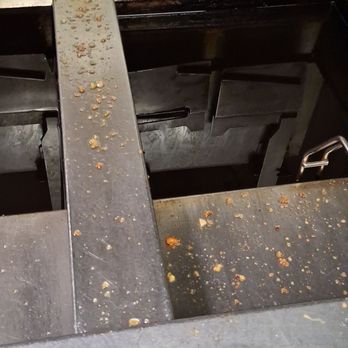 Taco Bell - Masty dirty deep fryer left all night like this , fly probably  had a great meal. - Tacos Near Me - Albert Lea, Minnesota