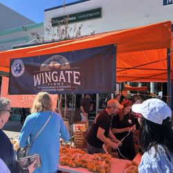 Tangerine Festival