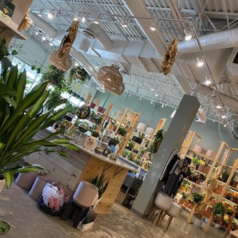 PlantHouse - Interior - Arts & Crafts Near Me - Virginia Beach, Virginia PlantHouse - Interior - Arts & Crafts Near Me - Virginia Beach, Virginia