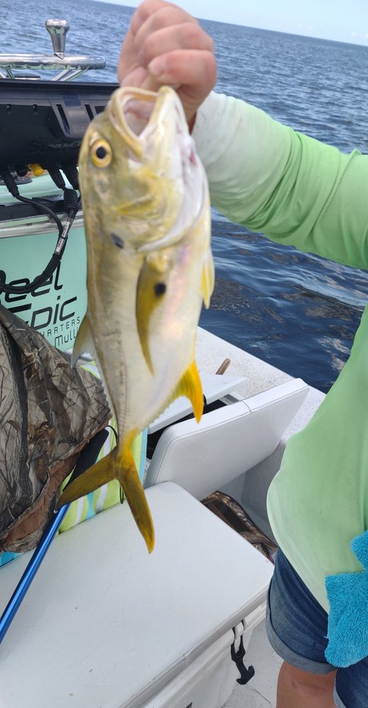 REEL EPIC CHARTERS OF FLORIDA Updated July 2024 53 Photos Perry