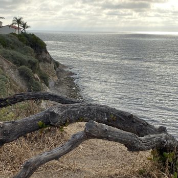 Malaga Cove Beach - Beaches Near Me - Palos Verdes Estates, California Malaga Cove Beach - Beaches Near Me - Palos Verdes Estates, California