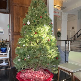 Farmacy - a christmas tree in a living room - Coffee & Tea Near Me - Bakersfield, California