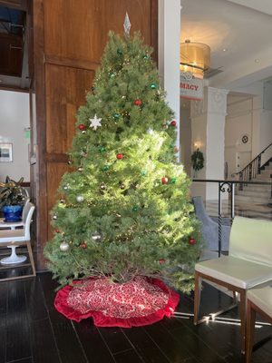 Farmacy Cafe by null