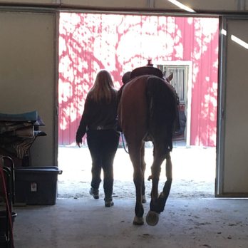 Earthquake Arabians - Horseback Riding Near Me - Brentwood, California