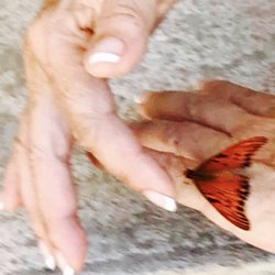 A Therapy Touch - I believe touch is the cornerstone of any comprehensive and holistic health program.