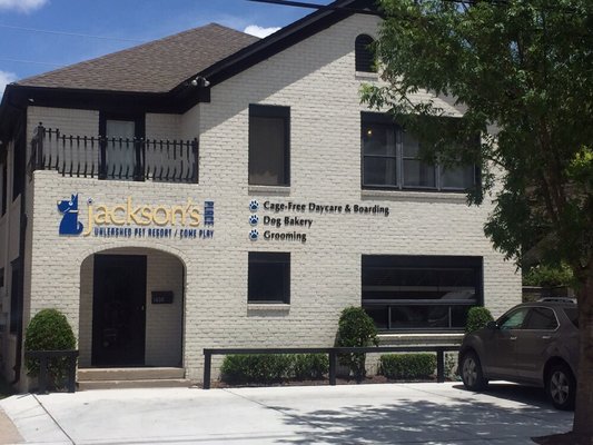 jackson's place dog daycare