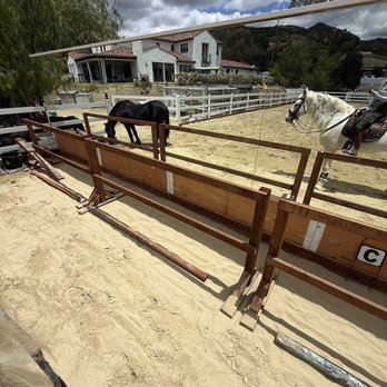 Ace Mirror & Glass - Arena mirrors and horses - Glass & Mirrors Near Me - Laguna Hills, California