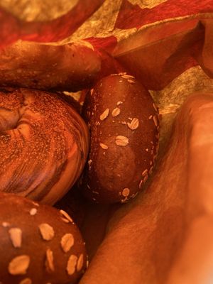 Leo's Bagels by null