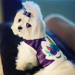Zoey