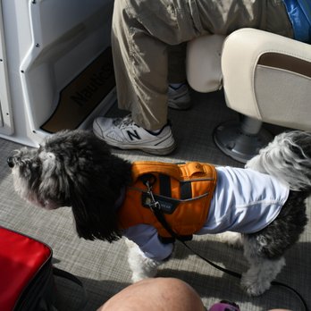 Venice Boat Rental - we took our Katie - Boating Near Me - Venice, Florida Venice Boat Rental - we took our Katie - Boating Near Me - Venice, Florida