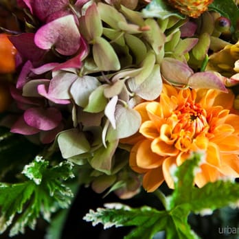 Twigery - Florists Near Me Twigery - Florists Near Me