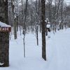 Cascade Cross Country Ski Center gift card