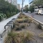 Photo of Swale On Yale