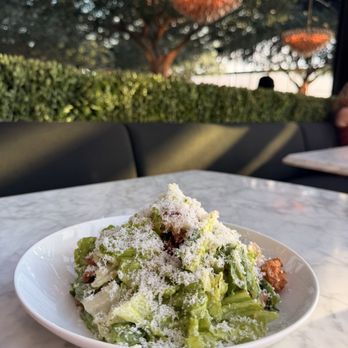 RH Rooftop Restaurant at RH Jacksonville - Caesar Salad $19 - Tapas/Small Plates Near Me - Jacksonville, Florida RH Rooftop Restaurant at RH Jacksonville - Caesar Salad $19 - Tapas/Small Plates Near Me - Jacksonville, Florida